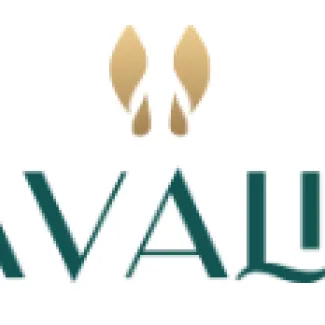 Logotipo de Cavalini 