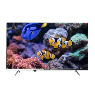 Televisor