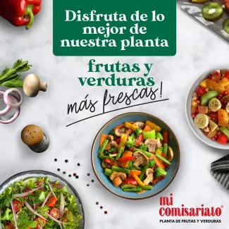 Catalogo