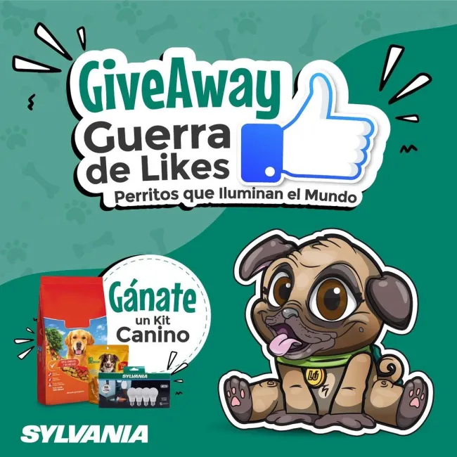 Gana un Kit Canino y un set de focos SOLO por compartir en redes sociales