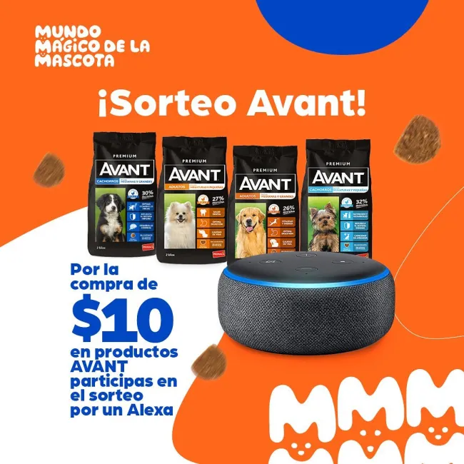 Gana un Alexa por comprar productos para tu mascota