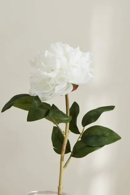 Rosa Decorativa Blanca Boltze | De Prati Tienda Online