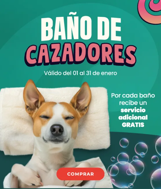 Segundo baño de tu perrito gratis en PetStation