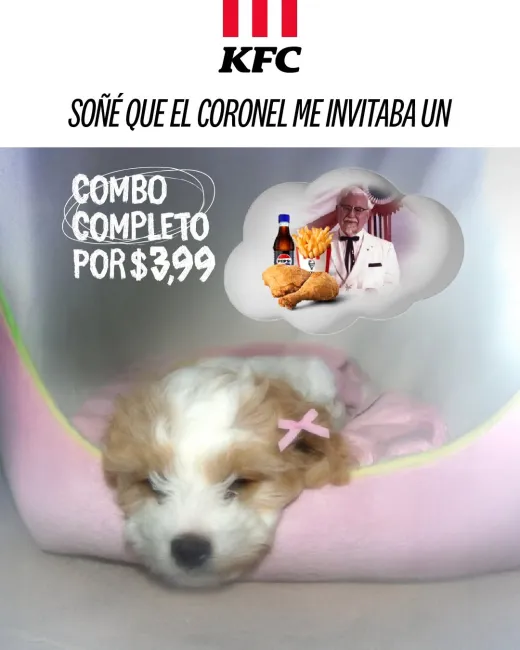 Combo ideal de KFC por solo $3.99 de lunes a viernes en Ecuador