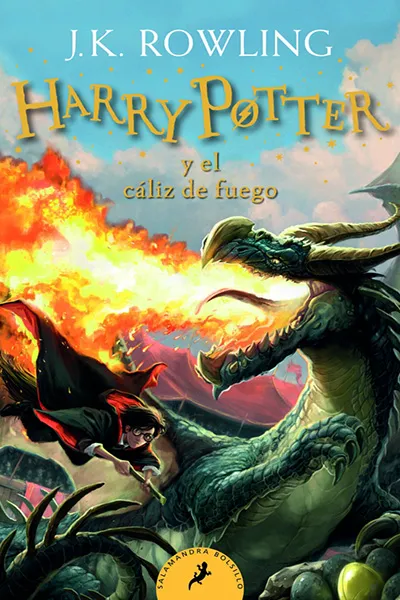 HARRY POTTER Y EL CALIZ DE FUEGO  | $17,00