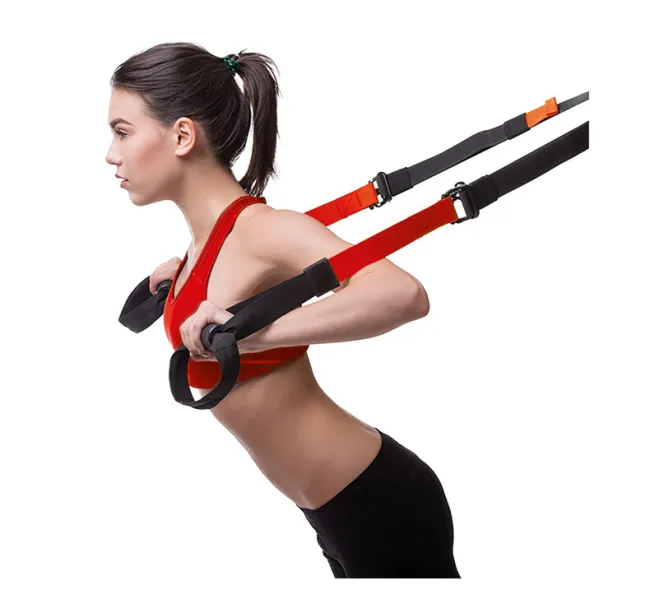 Banda de resistencia Energetics Functional Trainer Pro