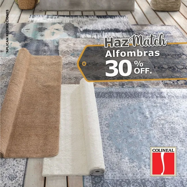 Del 20% al 30% de descuento en electromenores, alfombras, accesorios